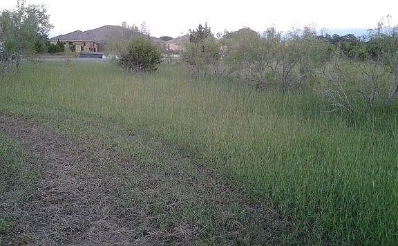 4th image of 1735 Canyon Way