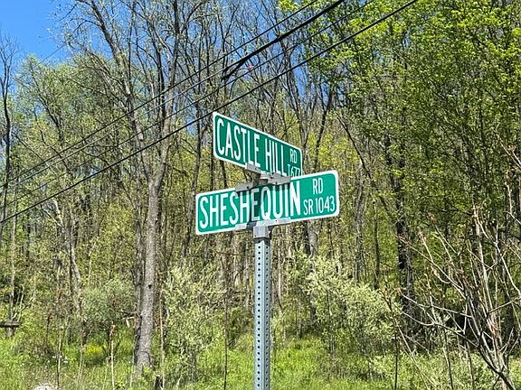 3rd image of 0 Sheshequin Rd