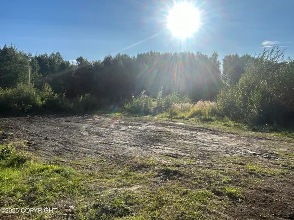 5580 W Limberlost Ave, Wasilla, AK 99623