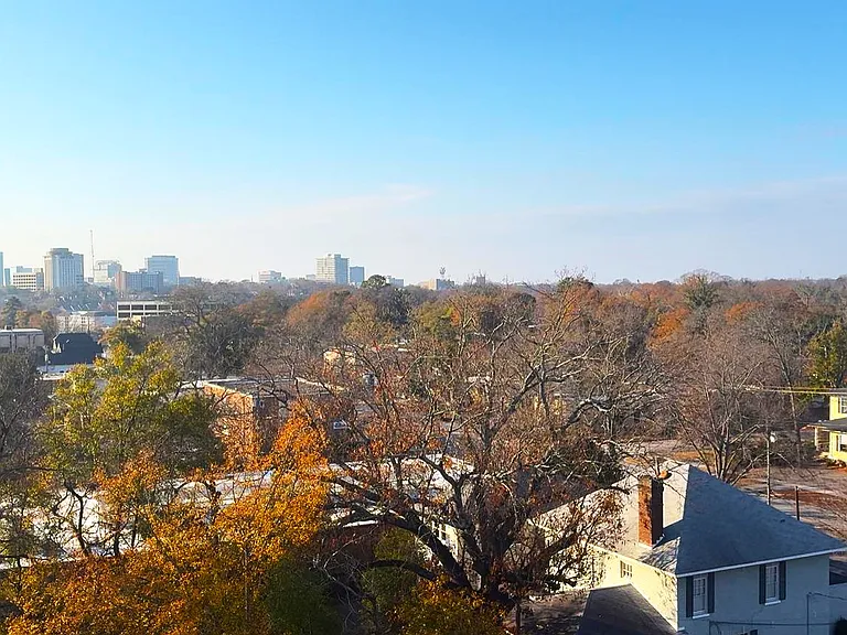 View to USC campus and downtown Columbia