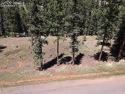 2nd image of 220 Iron Eagle Point