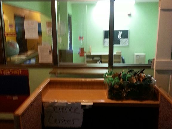 20140613_140256_resized_06132014