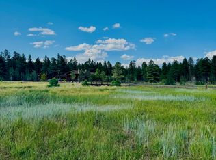 9580 Sierra Springs Dr, Pinetop, AZ 85935