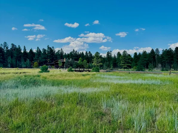 9580 Sierra Springs Dr, Pinetop, AZ 85935