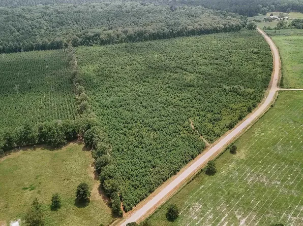 (undisclosed Address), Arkadelphia, AR 71923