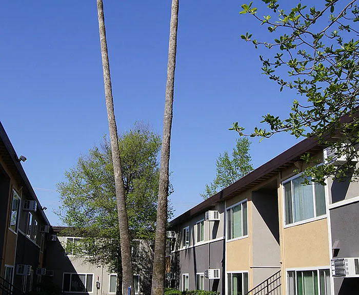 Ethan Terrace — Photo 20