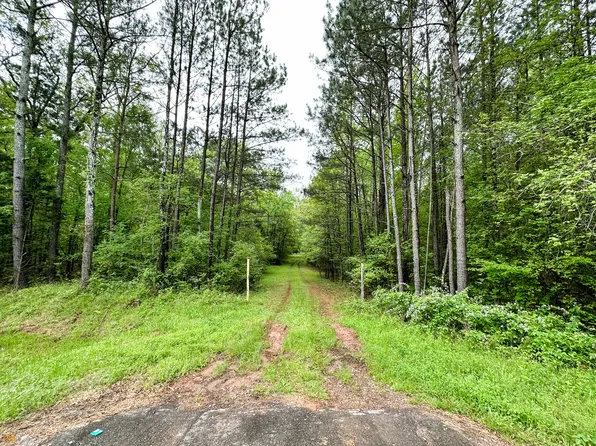 TRACT 4 Washington Rd #32.48, Lexington, GA 30648