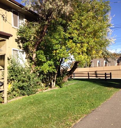 download (1)_11092015