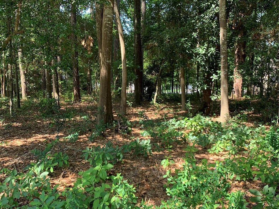 2nd image of 901 Longmire Rd