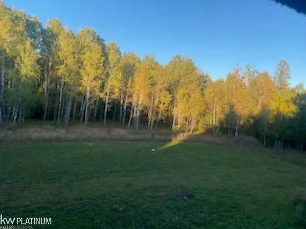 20312 Stoney Creek Hwy, Onaway, MI 49765