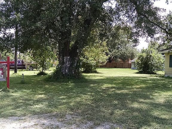 Huge shade trees keeps cool