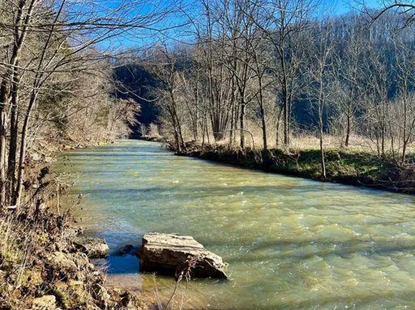 Blackburn Fork Rd, Gainesboro, TN 38562