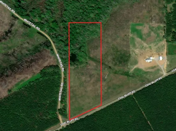 1331 Coal Bluff Rd, Lena, MS 39094