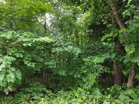 4th image of Abbey Ln #8