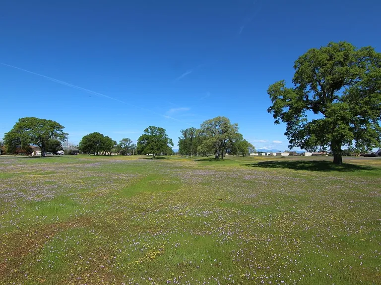 19062 Seabreeze Pl — Photo 54