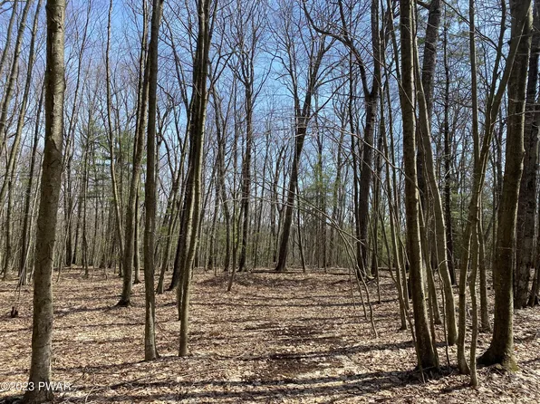 Russell Ln, Tafton, PA 18464