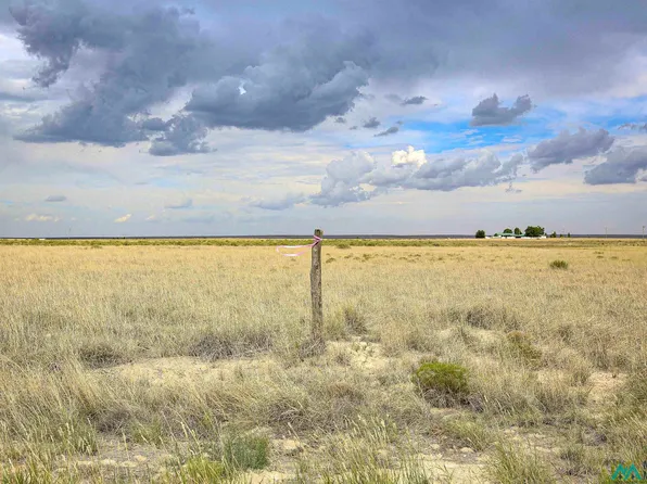 Mallard Ave, Roswell, NM 88201
