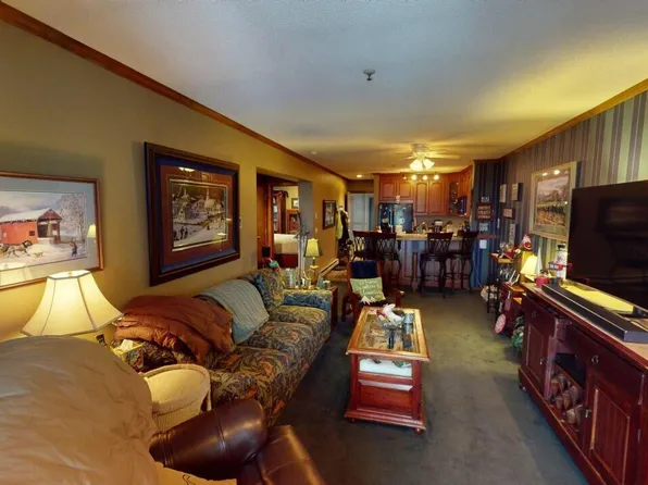 316A Snowcre St, Snowshoe, WV 26209