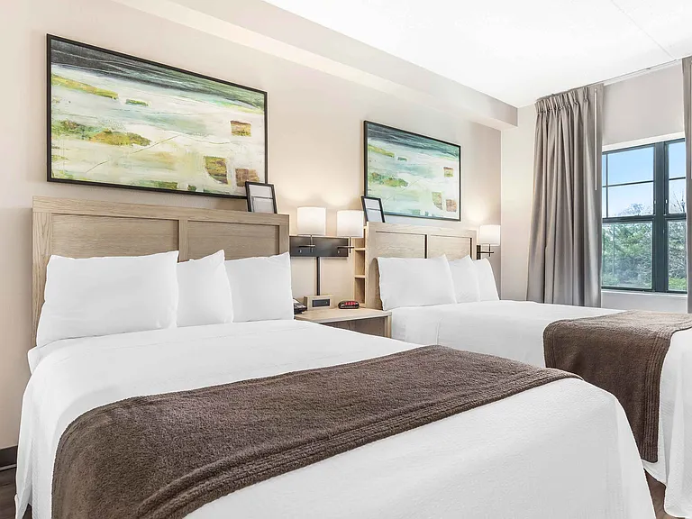 Studio Suite - 2 Queen Beds