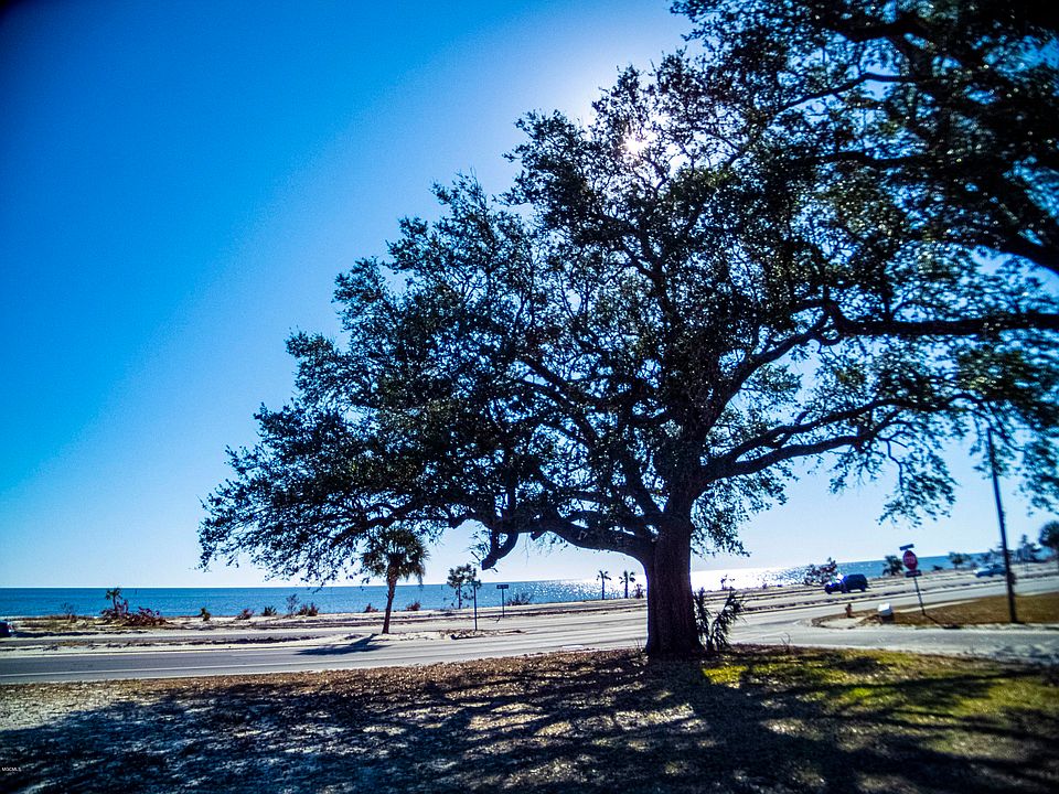 2nd image of 1564 Beach Blvd