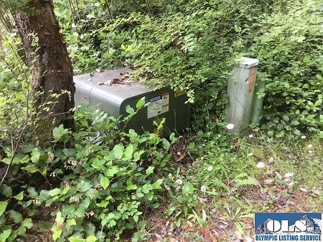 1st image of 9999 Buchanan Dr