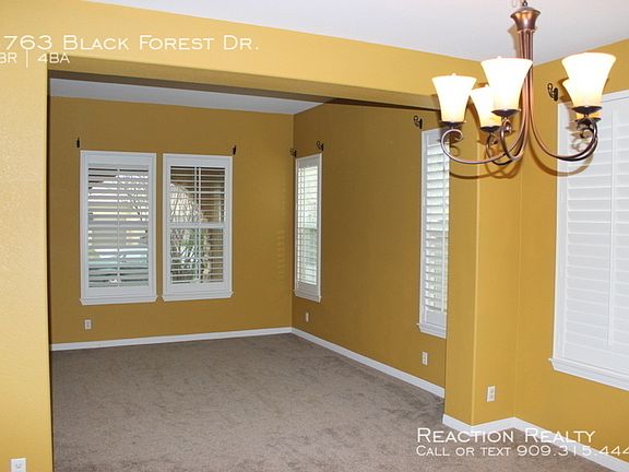 5th image of 6763 Black Forest Dr
