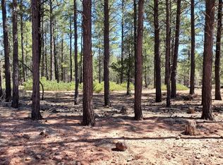 4050 W Flax Ln LOT 435, Show Low, AZ 85901