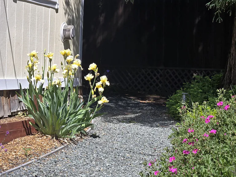 the walkway to the porch & front door.
