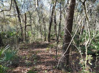 36031 Butternut Dr Lot 9, Webster, FL 33597