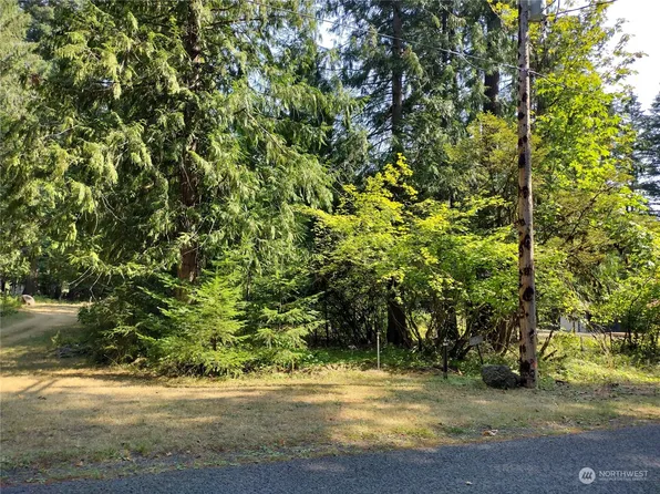 0 Lot 6 Crescent Beach Drive, Packwood, WA 98361