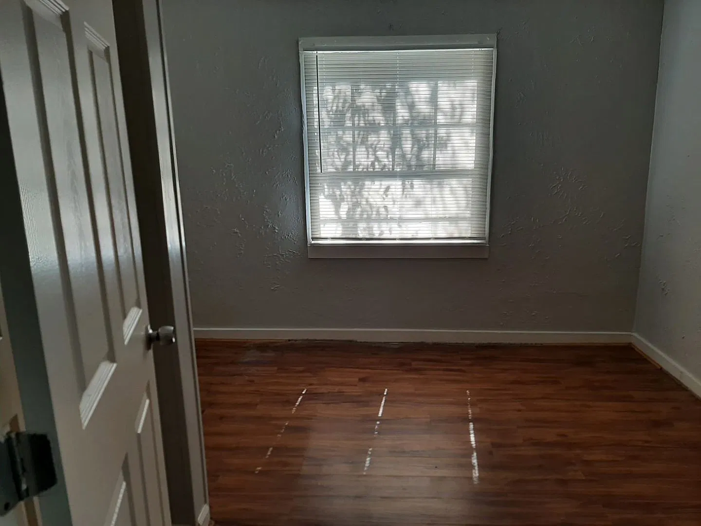 Completely Renovated 3 Bedroom house, perfect for a young professional ! — Photo 4