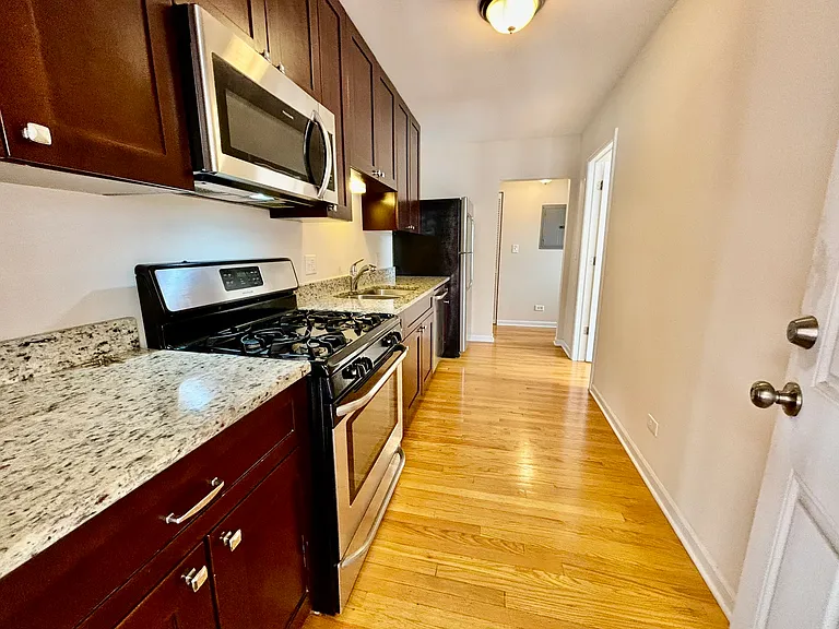 1639 W Lunt Ave #3S — Photo 1