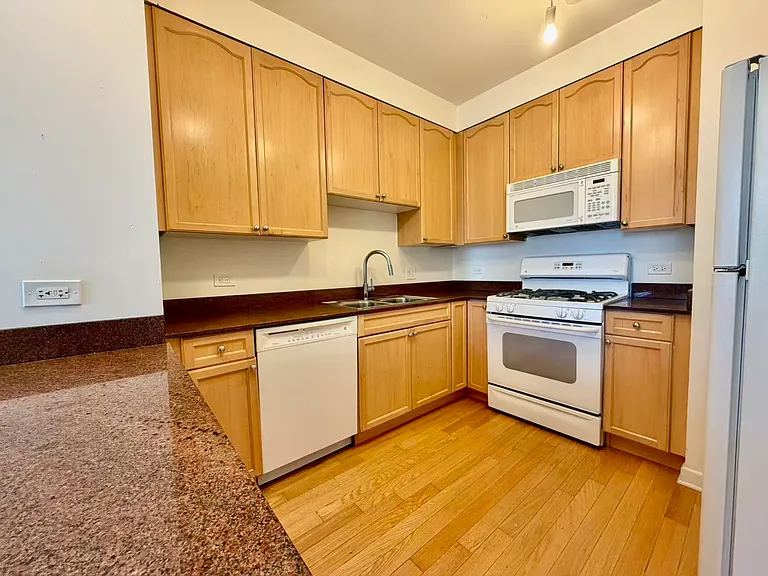 1250 S Michigan Ave #1904 — Photo 4