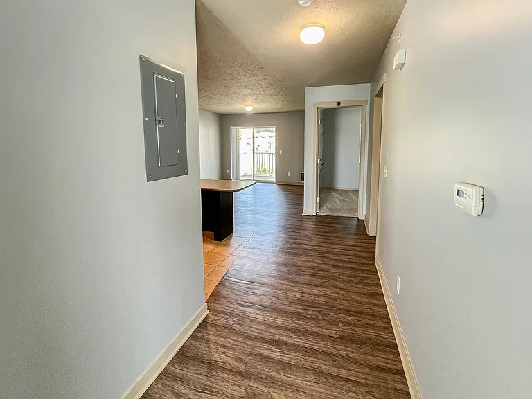 Entrance towards living room