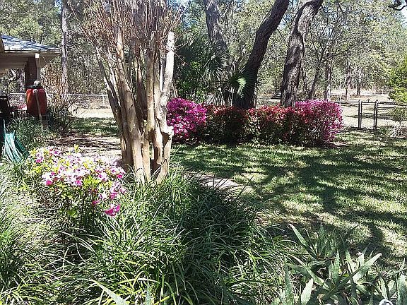 Fenced front yard