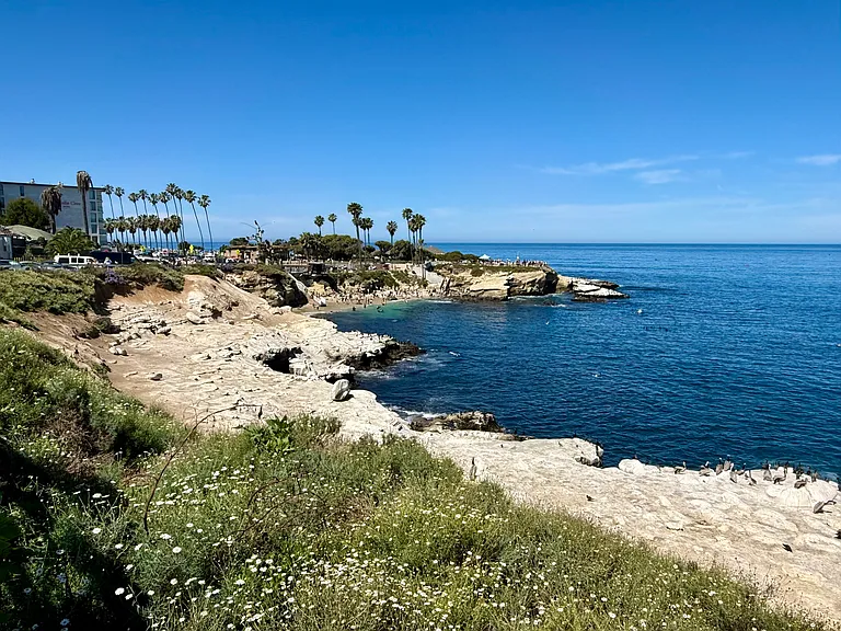 La Jolla Cove - 3 miles from condo