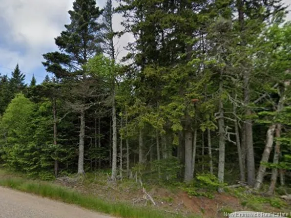 LOT Main St, Pennfield, NB E5H 1N7