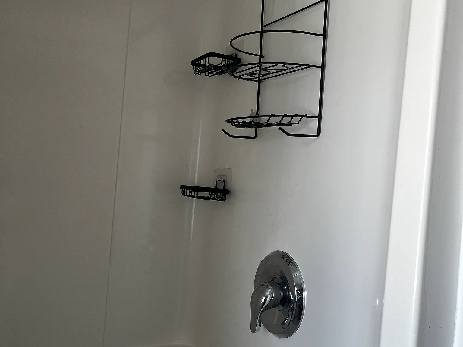 2 bed, $780 — Photo 3