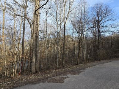 0 Lick Skillet Rd, Maynardville, TN, 37807