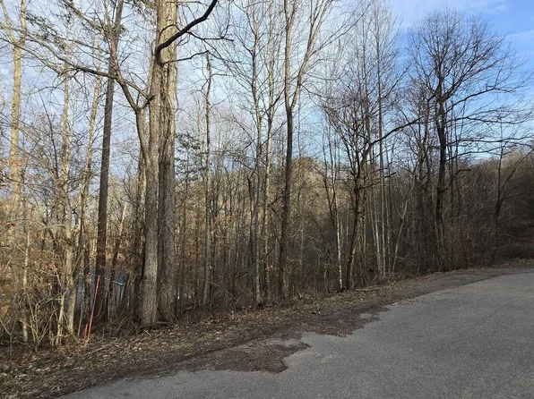 0 Lick Skillet Rd, Maynardville, TN 37807