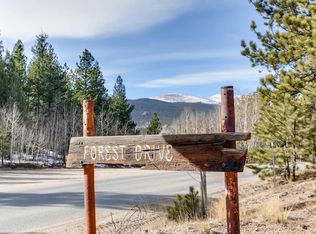 66 Forest Dr, Bailey, CO 80421