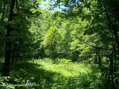 Tbd Van Nostrand Road, New paltz, NY, 12561