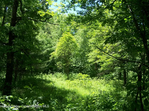 Tbd Van Nostrand Road, New Paltz, NY 12561