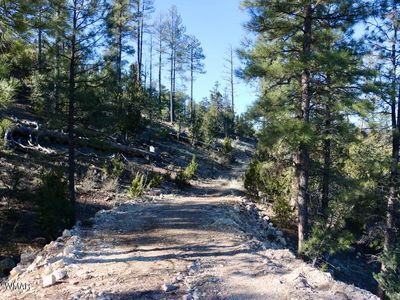 1737 Eskimo Ln, Heber, AZ, 85928