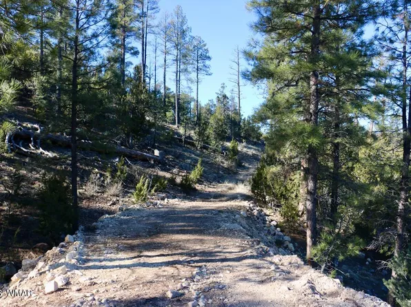 1737 Eskimo Ln, Heber, AZ 85928
