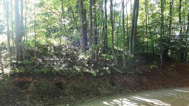 2nd image of 000 Bergman Road