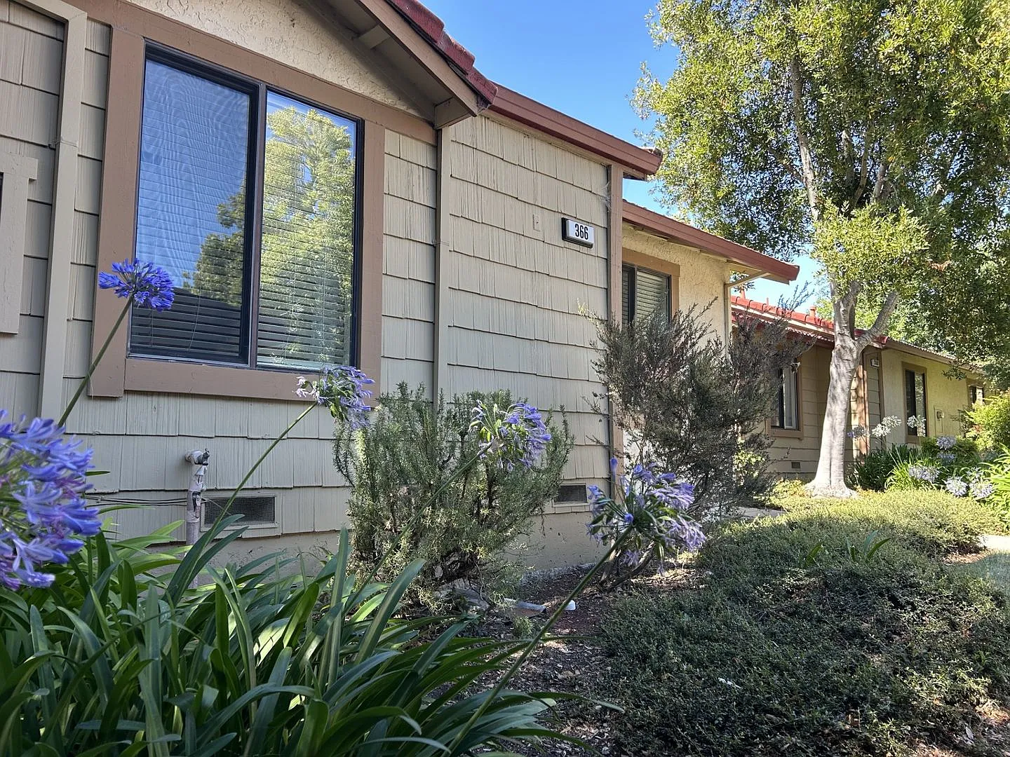 366 Park Place Dr photo 1