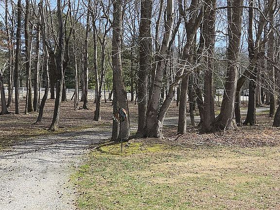 4th image of 1012 Butler Branch Rd S