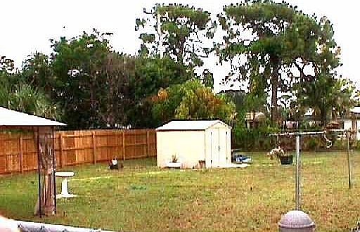 BACK YARD VIEW