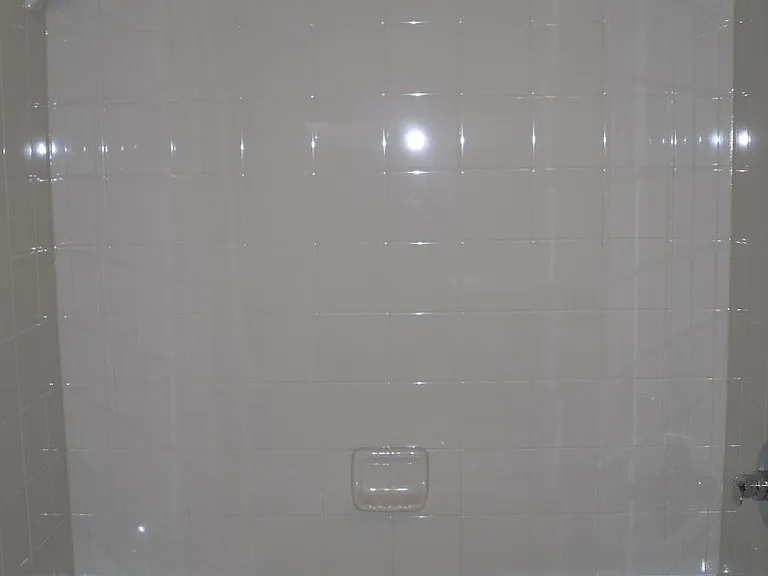 Hall Bath shower/tub